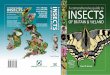 INSECTS - New Forest Explorers Guide · acclaimed ‘Insects of the New Forest’ Full colour photographs throughout, with fully comprehensive sections on all insect orders, including