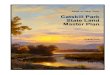 Catskill Park State Land Master Plan · Catskill Park State Land Master Plan - August 2008 1 I. INTRODUCTION This document is a master plan for Forest Preserve and other lands administered