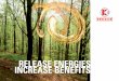 Release eneRgies incRease benefits · Europe Kohlbach headquarters Grazer Straße 23 A-9400 Wolfsberg AUSTRIA Tel.: +43 (0)4352 2157-0 Fax: +43 (0)4352 2157-290 office@kohlbach.at