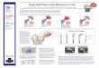 Target Restoration of Hip Mechanics in THA - Joint Implant ......Target Restoration of Hip Mechanics in THA By: Tom 1Tkach, MD1; Warren Low, MD; George B. Cipolletti, MS2; Timothy