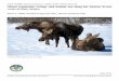 Moose population ecology and habitat use along the Juneau ... · Final Wildlife Research Report, ADFG/DWC/WRR-2012-03. Moose population ecology and habitat use along the Juneau Access