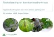 Teeltwisseling en komkommerbontvirus · 30 oktober 2013, Ineke Stijger . ... Agrobacterium . Symptomen komkommerbontvirus . Symptomen Mycosphaerella (bron: presentatie Jantineke Hofland)