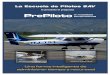 PrePiloto · sus experiencias de vuelo de forma importante, igual que cualquier piloto (PPA) licenciado ante la entidad aeronáutica de su respectivo país. Respaldo Experiencia en