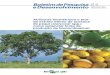 Caryocar spp.) produção de biocombustívelainfo.cnptia.embrapa.br/digital/bitstream/item/104747/1/BP201364.pdf · biocombustível. O fruto do pequizeiro, muito apreciado na culinária