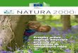 Numer 41 | luty 2017 NATURA · PDF file luty 2017 SPIS TREśCI 3–5 Przepisy prawa unijnego dotyczące przyrody są adekwatne do zakładanych celów 6–7 Konferencja ONZ w sprawie