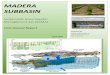 MADERA SUBBASIN - mwdgsa.orgmwdgsa.org/assets/2020-madera-gsp-annual-report.pdf · Madera (CM) GSA, Madera County (MC) GSA, Madera Irrigation District (MID) GSA, and Madera Water