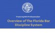 Practicing With Professionalism€¦ · Regulates more than 93,000 attorneys The Florida Bar opened almost 10,000 cases for disciplinary investigation last year. 350 + Lawyers disciplined