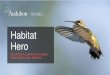 Habitat Hero - Greeley, Coloradogreeleygov.com/docs/default-source/water/conservation/hh...Wood Thrush. Photo: Will Stuart. Tree Swallows. Photo: Donald Mullaney. Slide 35: Photo: