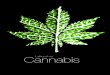 Lathund om Cannabis - NBV€¦ · marijuana från en dispensär eller liknande. Besluten om att tillåta marijuana som medicin är fattade på delstatsnivå genom folkomröstningar