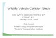 Wildlife Vehicle Collision Study - Miistakis Institute · wildlife vehicle collisions • Review methods to reduce collisions between motor vehicles and wildlife • Describe solutions