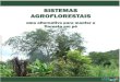 SISTEMAS AGROFLORESTAIS - Terra Brasilis · floresta em pé» pode ser reproduzido, distribuído, colocado em murais, multiplicado, utilizado ... demonstram a importância de se cuidar