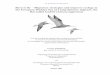 Born to fly – Migratory strategies and stopover ecology in the ......2. Das Ökosystem Wattenmeer 14 published in: Schriftenreihe des FZ Terramare 11a: in press 3. Consumption of