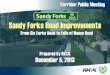 Sandy Forks Road Improvements Corridor Public Meeting ... · Sandy Forks. RD 2013. Plantings . Planting Objectives • Low maintenance, native • Human scale • Seasonal interest