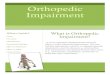 Orthopedic Impairment - Disability Resources...Burns and broken bones can also result in damage to both bones and muscles. The main ways to prevent orthopedic impairments is to ensure