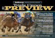 2012 Triple Crown Preview special digital report Triple Crown …i.bloodhorse.com/downloads/special-reports/pdfs/tc2012... · 2012. 2. 24. · analySiS and “contendeR vS. PRetendeR”