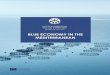 Blue economy in the Mediterranean · 2020. 8. 14. · 2 | Blue economy in the Mediterranean This report was prepared by eco-union: Kristian Petrick, Jérémie Fosse, Heloïse Lammens,