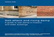 Salt Attack and Rising Damp Technical Guide€¦ · While the term rising damp has been commonly used to cover both aspects, it tends to overlook the role of salt, an issue that will