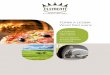 Wood fired ovens€¦ · 3 solutions for ovens for professional use 35 solutions for wood-burning ovens 15 solutions for barbecue 3. Safety and health through the use of certified