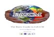 The Basic Guide to EdGCM - Iowa State University · 2006. 1. 30. · in this manual. The NASA/GISS Global Climate Model (GISS GCM) is one of the applications. The EdGCM Manual includes: