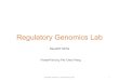 Regulatory Genomics Lab - cg_transcripts.txt8 Regulatory Genomics | Saurabh Sinha | 2017 25 . Step 11A: Convert IDs The enrichment tool we will use doesn’t accept genes in this format