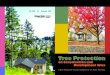 Tree protection on construction and development sites · Tree protection involves activities designed to preserve and protect tree health by avoiding damage to tree roots, trunk,