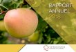 Rapport annuel 2018 - Accueil - Les Producteurs de pommes ......de commercialisation 2018-2019. Il est de notre devoir de s’assurer que notre marque de commerce Pommes Qualité Québec