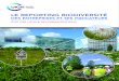 LE REPORTING BIODIVERSITÉ - UICN Franceuicn.fr/.../2016/09/UICN-Etude_Reporting_Biodiversite_.pdf · 2016. 8. 31. · Le reporting biodiversité des entreprises et ses indicateurs