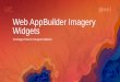 Web AppBuilder Imagery Widgets - Esri...PowerPoint presentation to others outside of Esri and will only be using your own Esri computer for presenting, please use the new font Avenir