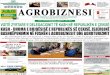 KASH - Dhoma e Kompanitë e Shqipëri - Çeki: Bujqësisë e ... · 2 AGROBIZNESI E Premte, 4 Prill 2019 risi albania GiZ në shqipëri STAFI I GAZETES Kryetar i Bordit të Gazetës: