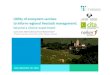 Utility of ecosystem services to inform regional livestock … · 2017. 10. 17. · Utility of ecosystem services to inform regional livestock management: beyond a choice experiment