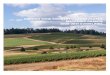 Oregon Wine Country LICENSE Plates Matching grants 2020 ... · Mid-Project Report is only required for projects ove r $10,000 in grant awards. The Mid-Project Report and a current