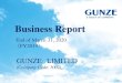 Business Report - GUNZENet Sales 3,126 Functional solutions business was adversely affected by the slowdown in the semiconductor market. However, sales grew, partly due to the positive