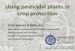 Using pesticidal plants in crop protection · 2015. 1. 27. · Pesticidal plants usually do not kill insects quickly. Exposed insects may take a few days to die. PPs can be toxic
