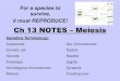 Ch 13 Notes – Meiosis · Ch 13 NOTES –Meiosis For a species to ... produced by meiosis, rather than mitosis Meiosis results in one set of chromosomes in each gamete Fertilization,