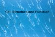 Cell Structure and Functiongithensjaguarsteam.weebly.com/.../parts_of_cells_-_.pdf · 2018. 9. 9. · Cell Structure and Function . Cells • Smallest living unit • Most are microscopic