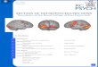 SECTION OF NEUROPSYCHIATRY NEWS - Human Brain Anatomy … · effects of severe traumatic brain injury and others with conditions in which there is no evidence of any kind of physical