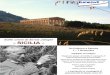 SICILIA - Eumeswileumeswil.cc/.../09/Viaggio-in-Sicilia-Ernst-Juenger-2017.pdfTaormina; Siracusa; Villa Romana del Casale Pranzi e cene in autenci locali 2pici siciliani Hotels comodi