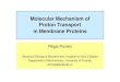 Molecular Mechanism of Proton Transport in Membrane …colloq/Talk8/Presentation8.pdfMolecular Mechanism of Proton Transport in Membrane Proteins Régis Pomès Structural Biology &