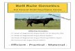 Bell Rule Genetics€¦ · sold having passed a BSE unless otherwise stated or negotiated. BRG Heifer Guarantee All heifers sold as bred are guaranteed bred by BRG. If you wish to
