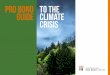 pro bono to the guide climate crisis - Australian Pro Bono ......lawyers with concrete ideas and information about how they can undertake pro bono work to help combat climate change