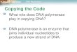 What role does DNA polymerase play in copying DNA? DNA ...springersci.weebly.com/uploads/1/4/1/0/14100117/dna_replication.pdfLesson Overview DNA Replication The Role of Enzymes The