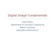 Digital Image Fundamentals - Bilkent Universitysaksoy/courses/cs484-Fall2012/slides/cs484... · Digital Image Fundamentals Selim Aksoy Department of Computer Engineering Bilkent University