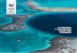 Informe Anual 2017 - WWFawsassets.wwf.es/downloads/informe_anual__2017.pdf · WWF-INT Informe anual 2017 página 5 La Marcha del Clima en Estados Unidos reunió a miles de personas