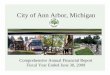 City of Ann Arbor, Michigan - Ann Arbor Chronicle€¦ · The Comprehensive Annual Financial Report (CAFR) of the City of Ann Arbor for the year-end June 30, 2009, is submitted. Staff