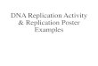 DNA Replication Activity & Replication Poster Examplesnewburyparkhighschool.net/stillwagon/biocp/files/DNA Replication Activity.pdfChromosome — Tightly packed DNA Free nucleotides