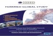 FERRMED GLOBAL STUDY · 2009. 11. 19. · FERRMED GLOBAL STUDY FERRMED Great Axis Rail Freight Network and its area of influence Scandinavia - Rhein - Rhone - Western Mediterranean