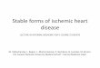Stable forms of ischemic heart disease · Stable forms of ischemic heart disease LECTURE IN INTERNAL MEDICINE FOR V COURSE STUDENTS M. Yabluchansky, L. Bogun, L. Martymianova, O