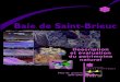 Baie de Saint-Brieuc · Les grands projets abandonnés A.53 Environnement socio-économique A.54 Les activités traditionnelles anciennes A.55 ... respondant aux sites remarquables