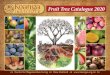 Fruit Tree Catalogue 2020 - Koanga Institute · Autumn Gardening - Gail Aiken 9 Perennials Collection 10 Education 11 Internships - Michele Griffiths 14 ReGeneration Productions 15