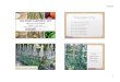 Vertical Gardening - Sedgwick County...5/1/2020 1 Victory Garden 101 Plan • Apr. 7: Preparing Your Garden Site & Soil • Apr. 14 – Basic Garden Planning for Success • Apr. 21